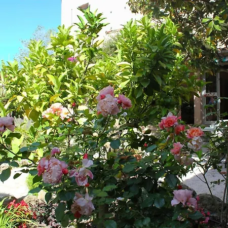Hotel Les Palmiers Saint-Tropez