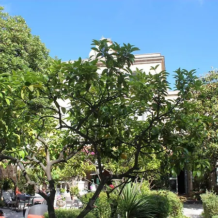 Les Palmiers Hotel Saint-Tropez