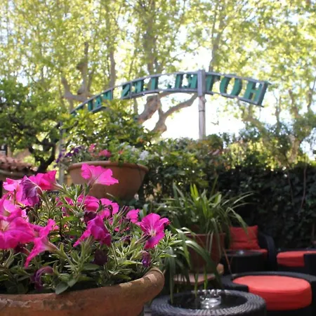 Hotel Les Palmiers 3*