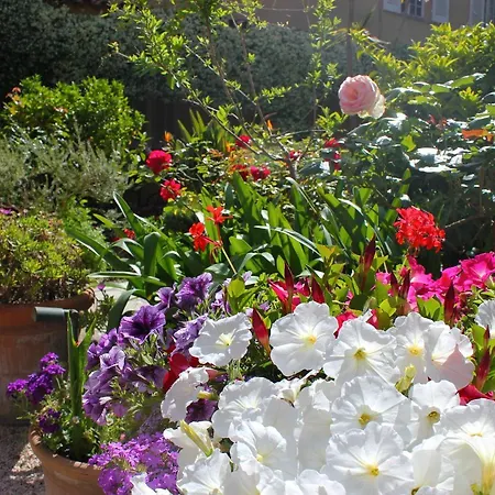 Les Palmiers Hotel Saint-Tropez