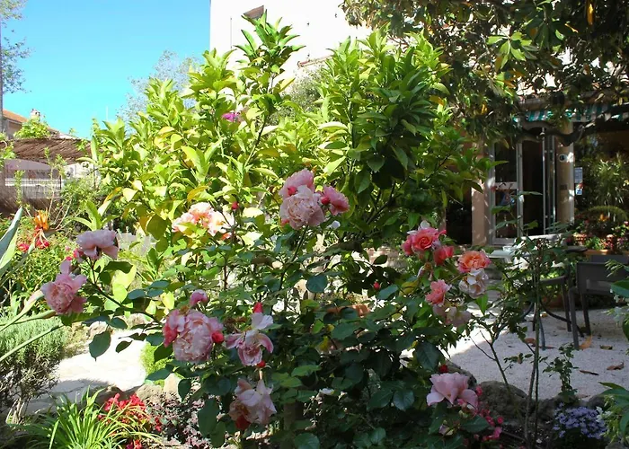 Hotel Les Palmiers Saint-Tropez